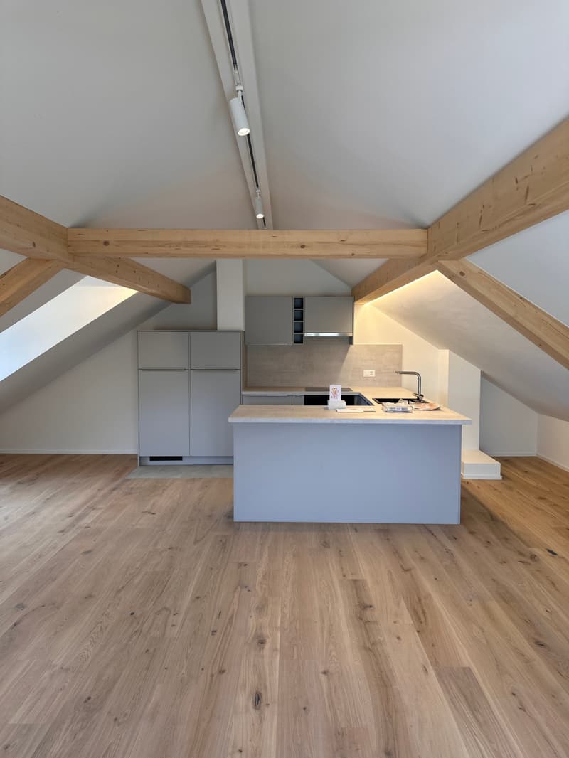 Appartement de maisonnette de 3,5 pièces de haute qualité avec confort (4)