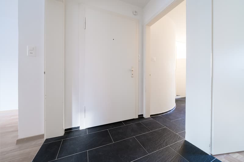 Central beautiful 3-room apartment available (2)
