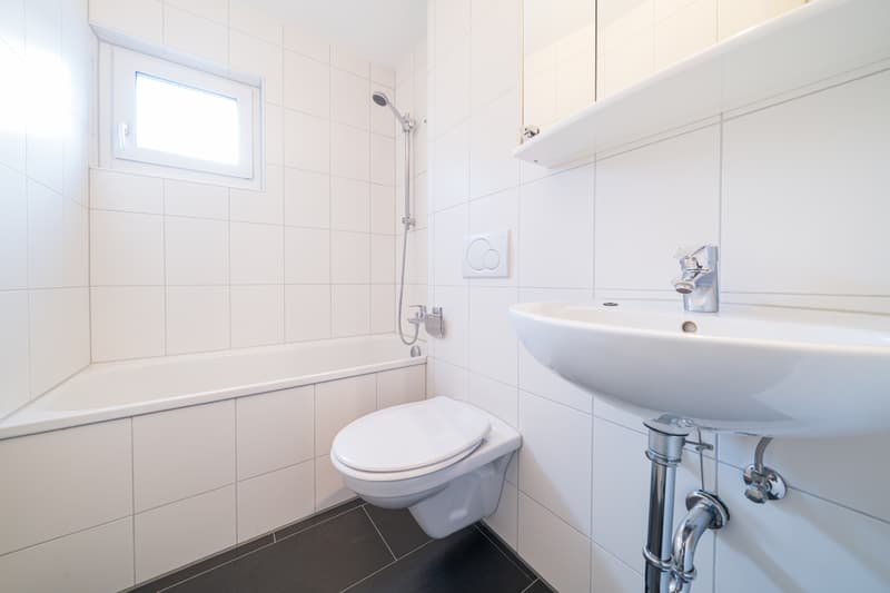 Central beautiful 3-room apartment available (8)