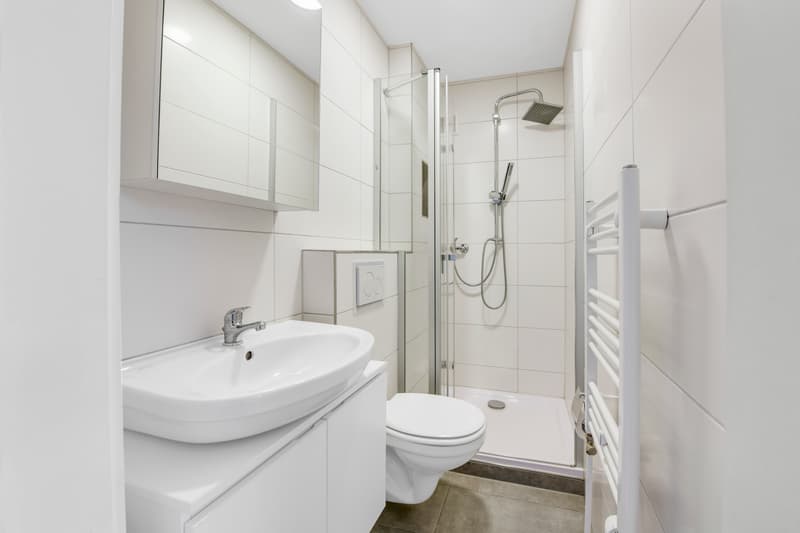 Appartement confortable de 2.0 pièces en plein centre-ville ! (5)