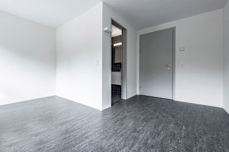 Appartement moderne 1 pièce à louer (3)
