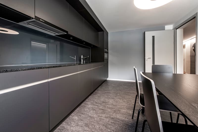 Appartement moderne 1 pièce à louer (2)
