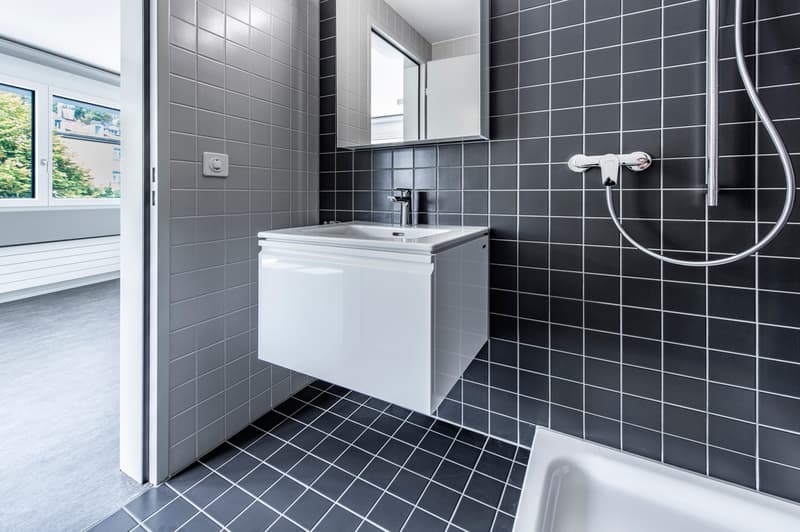Appartement moderne 1 pièce à louer (4)