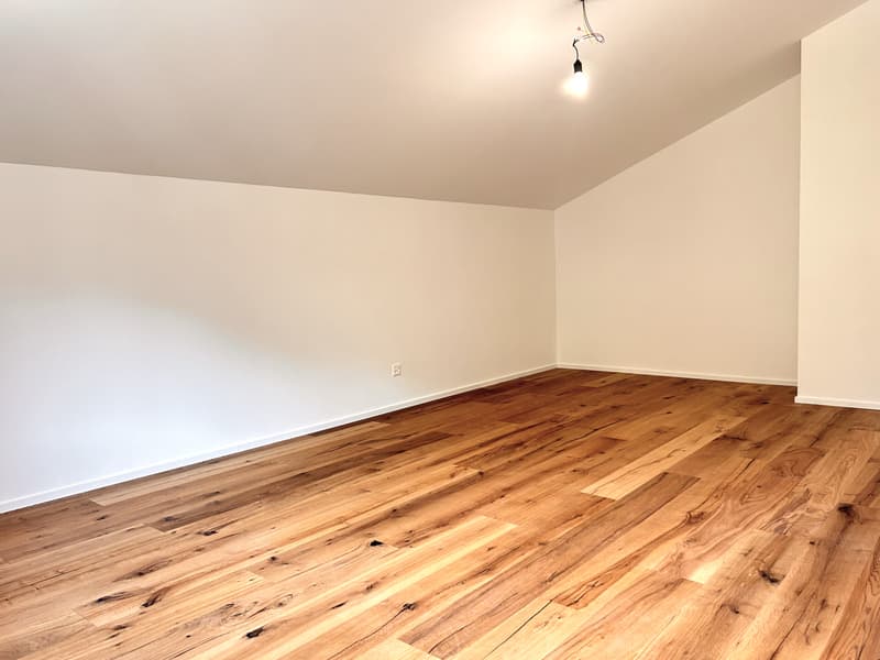 Traumhafte 2.5-Zimmer-Loftwohnung (5)