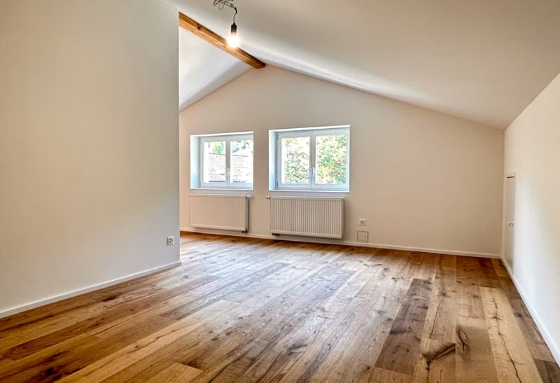 Traumhafte 2.5-Zimmer-Loftwohnung (4)