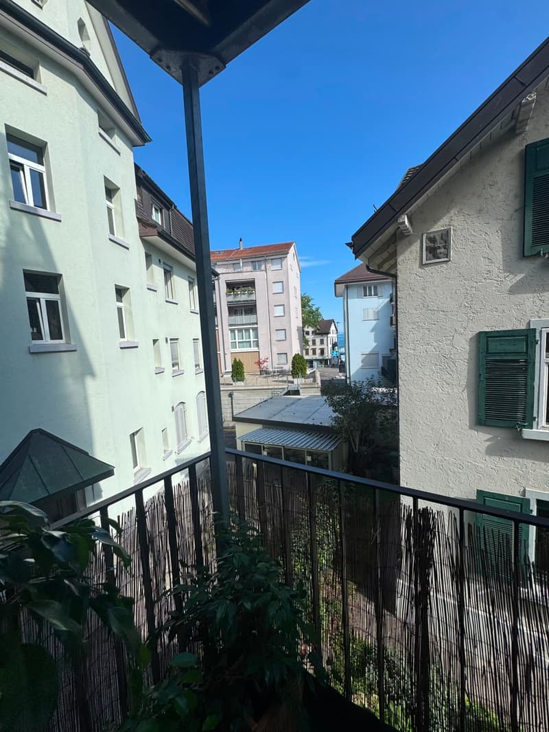 Grosszügige 4.5_Zimmerwohnung an zentraler Lage (1)