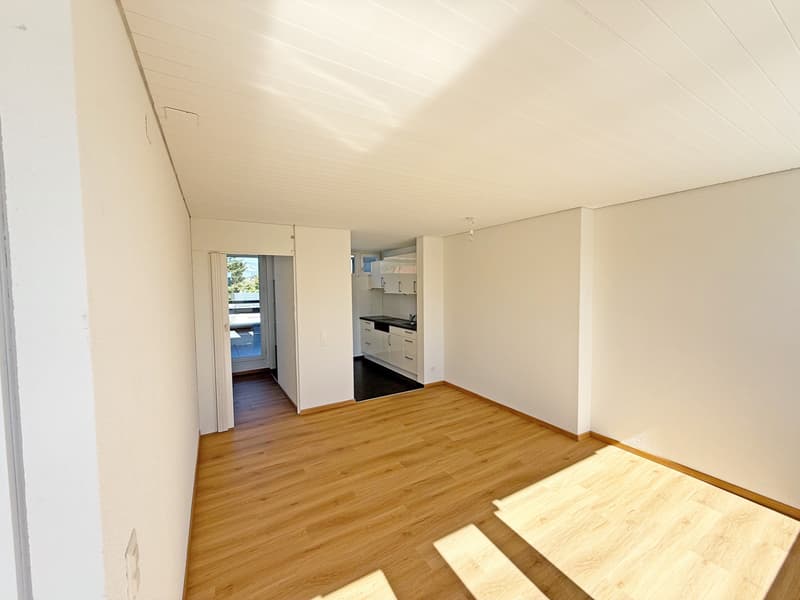 2.5-Zimmerwohnung in mitten Solothurn zu Vermieten (5)