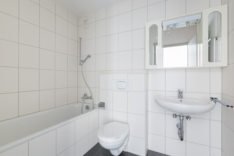 Attraktive 3.5-Zimmerwohnung zu vermieten (7)