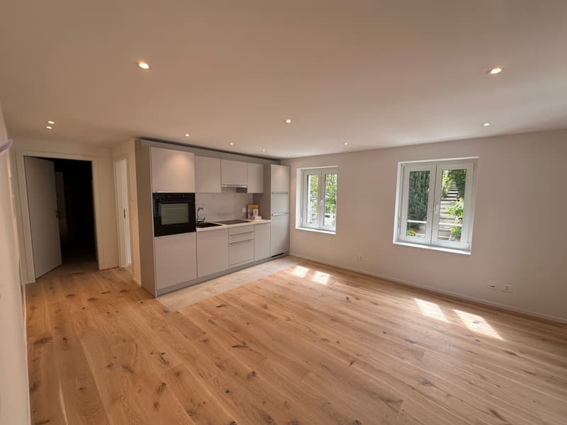 Moderne 2.5-Zimmer-Wohnung an zentraler Lage (2)