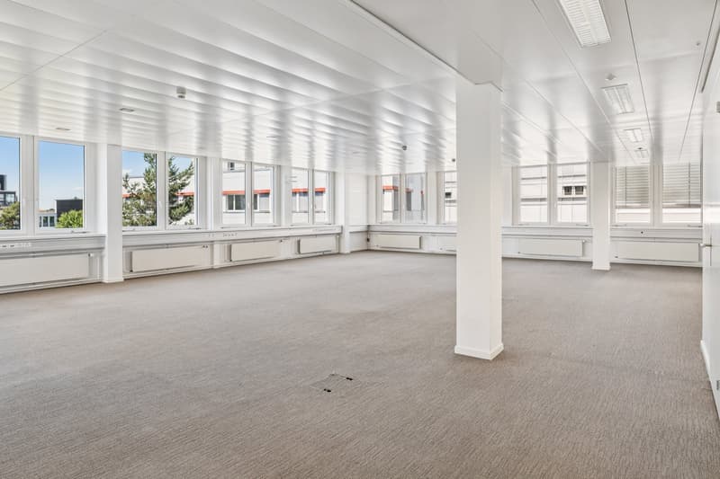 Il tuo nuovo ufficio - direttamente alla stazione di Schwerzenbach (3)