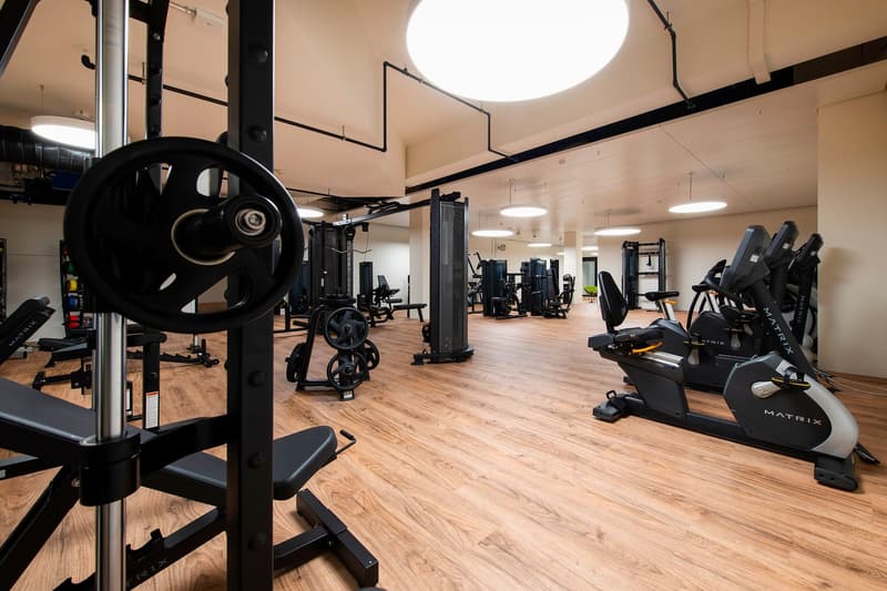Modern gym room with black weight lifting equipment and rowing machine, wooden flooring, illuminated by ceiling lamps