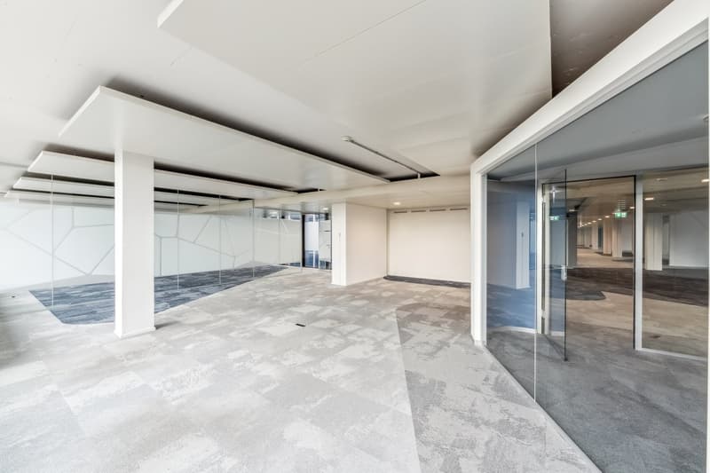 modern open space, grey and white flooring, large glass walls, high ceiling