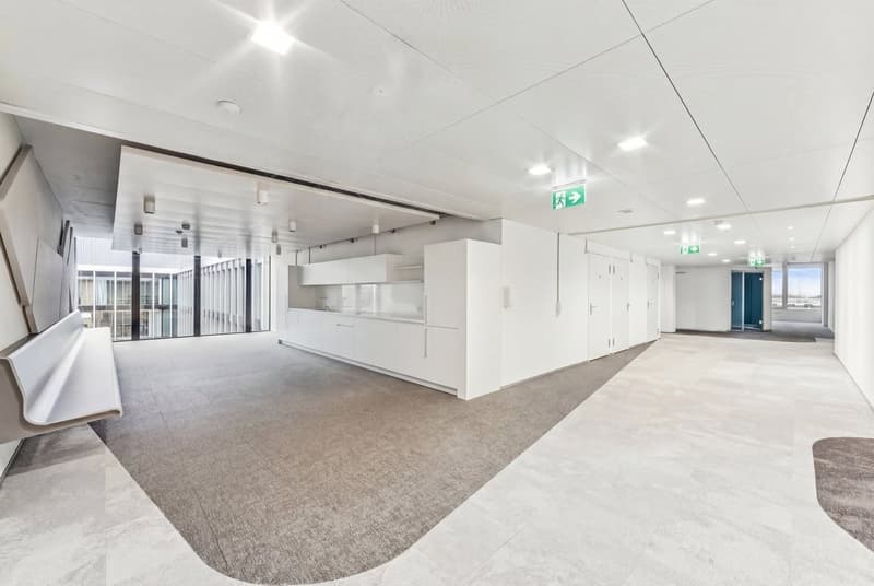 Empty room with gray carpeting, large white cabinet, two windows, white walls, and white ceiling