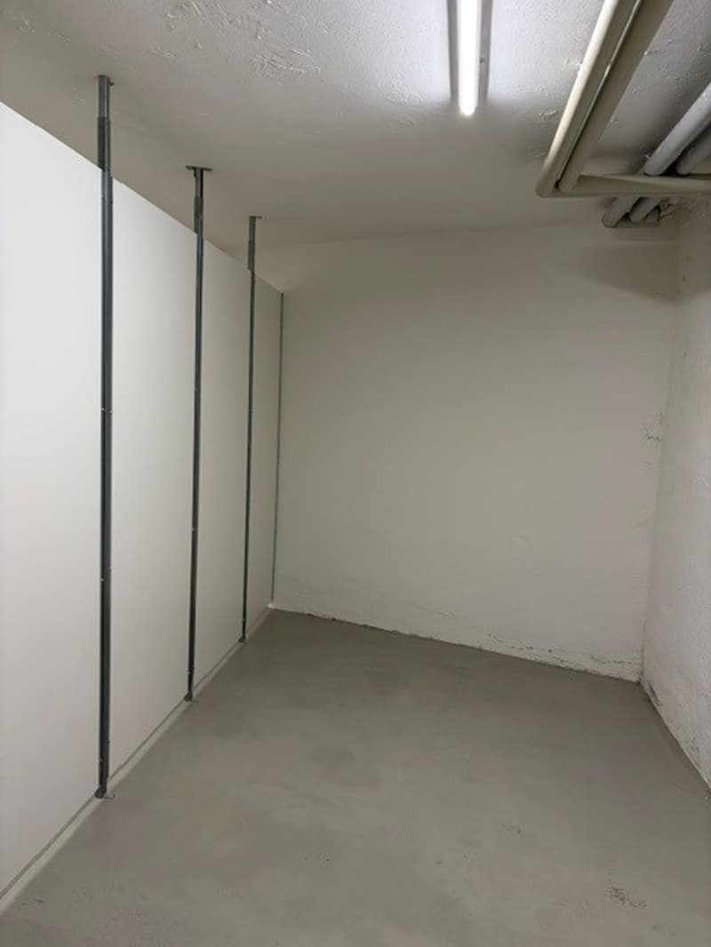 Flexible Lagerflächen an bester Lage in Zürich Oerlikon (4)