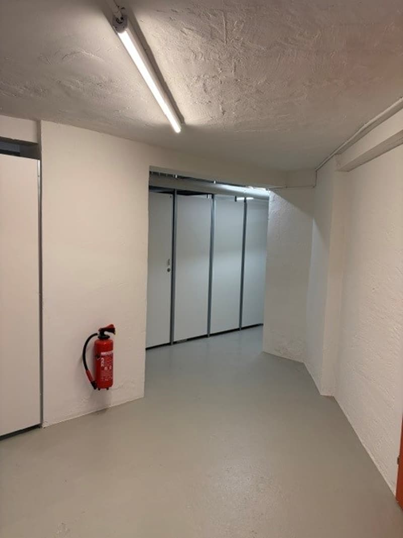 Flexible Lagerflächen an bester Lage in Zürich Oerlikon (3)