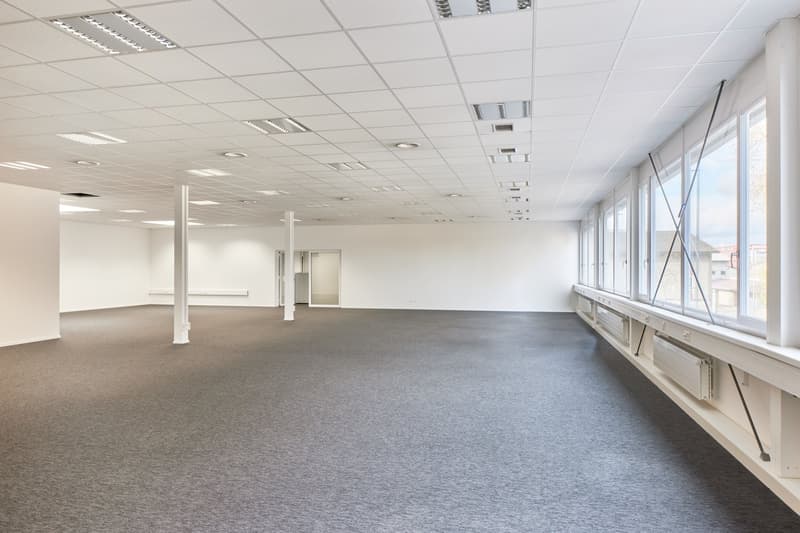 Large open office space with white walls, gray carpeted floor, suspended ceiling with recessed lighting, and large windows providing natural light. The space appears to be empty and ready for use.