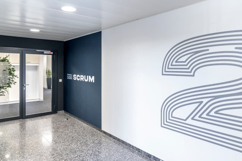 Open entrance hall, large white and blue wall, glass doors, modern design, plant, logo