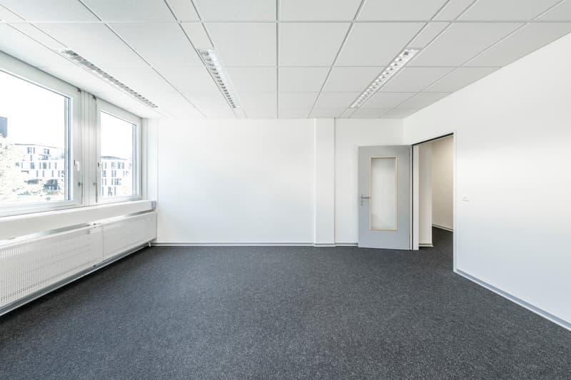 Empty room, white walls, glass windows, gray carpet, ceiling lights