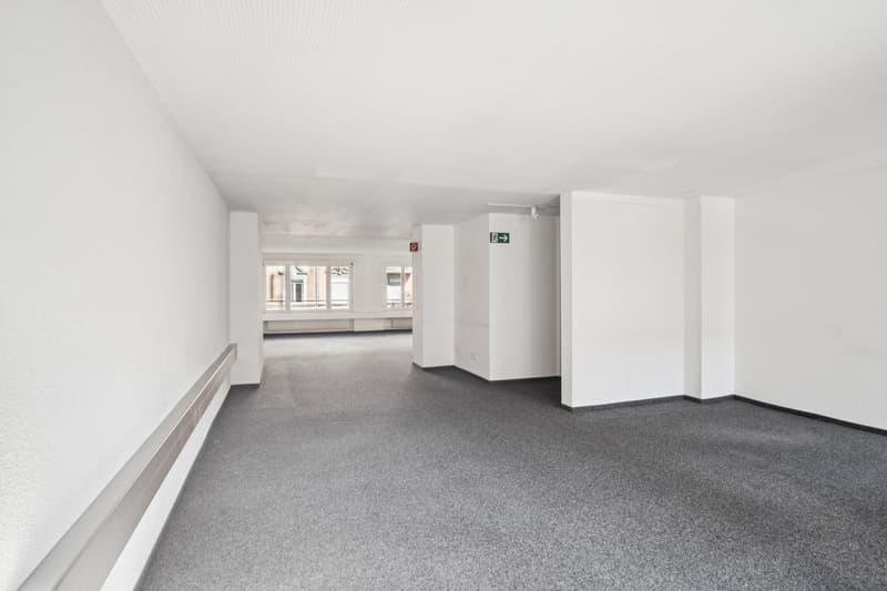Spazio di lavoro Zurich Ovest (4)