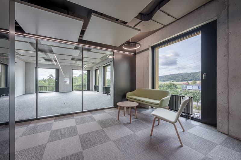 modern office room with glass walls, wooden floor, green sofa, wooden table, white chair, balcony