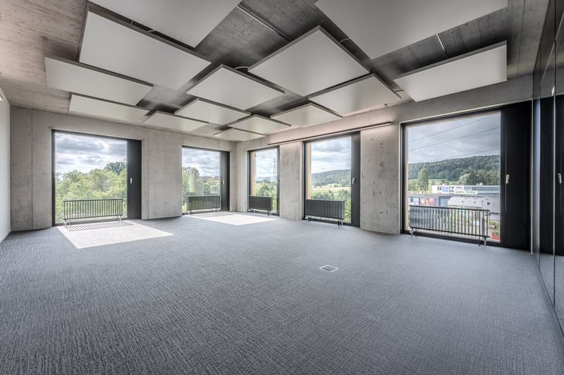 large room, large windows, balcony, gray carpet, white ceiling panels, radiators