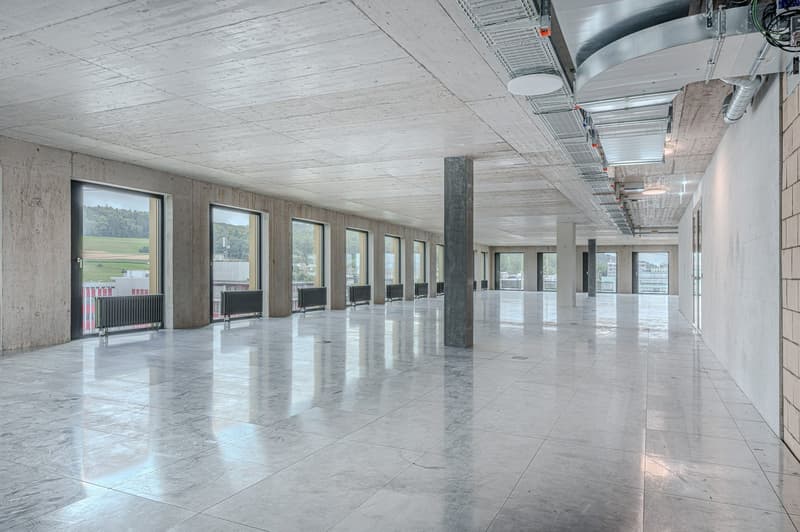 large open space, white tiled floor, concrete walls, large windows, metal radiators