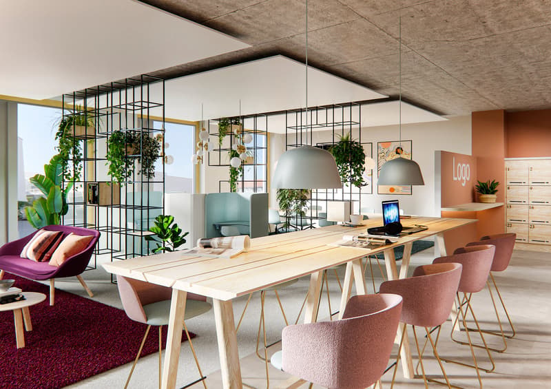 modern office with large windows, wooden desk, pink chairs, plants, laptops, magazines, carpet, table
