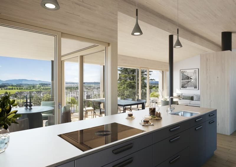 All houses sold - Living with a wide view: Attractive new single-family homes in Dürnten (2)