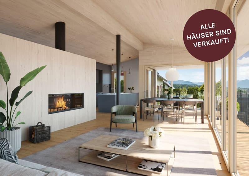 All houses sold - Living with a wide view: Attractive new single-family homes in Dürnten (1)