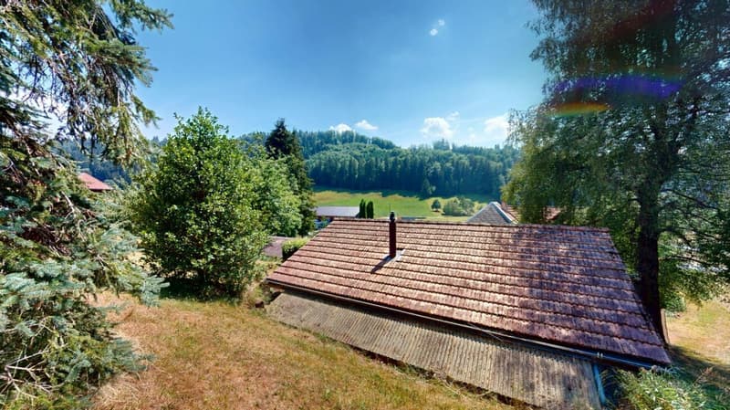 Maison de ferme idyllique dans un endroit calme avec deux appartements et une tiny house (3)