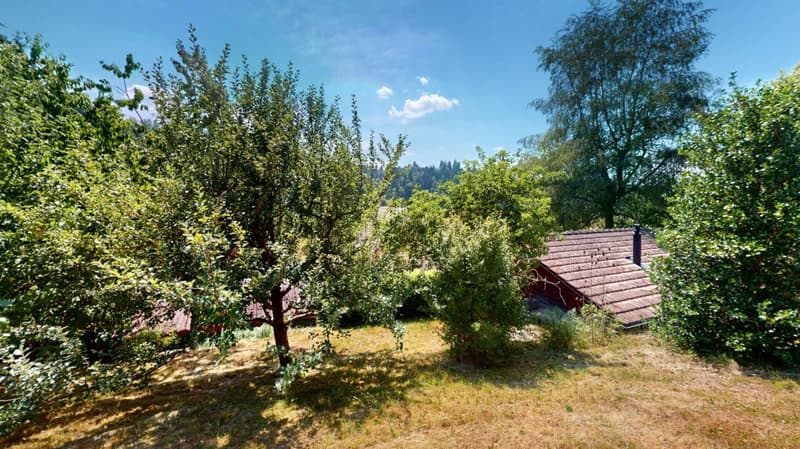 Maison de ferme idyllique dans un endroit calme avec deux appartements et une tiny house (4)