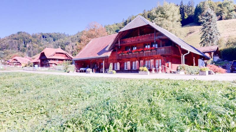 Idyllic farmhouse in a quiet location with two apartments and a tiny house (1)