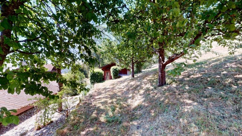 Maison de ferme idyllique dans un endroit calme avec deux appartements et une tiny house (5)
