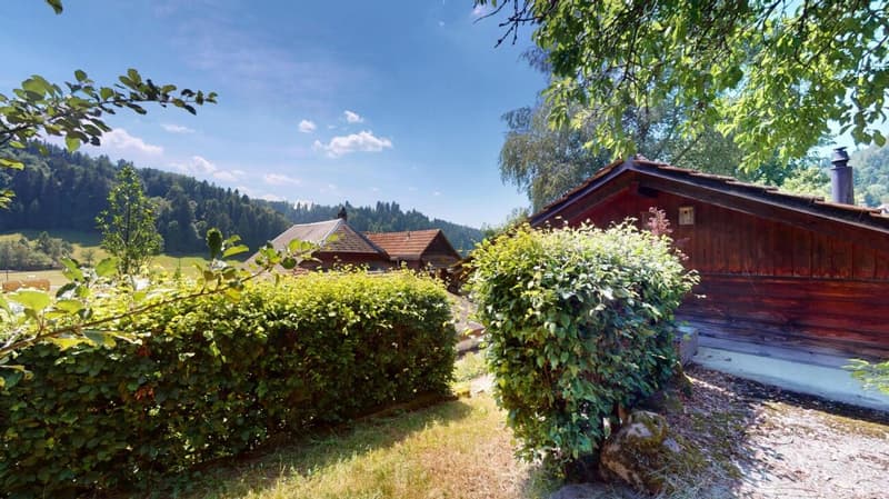 Maison de ferme idyllique dans un endroit calme avec deux appartements et une tiny house (6)