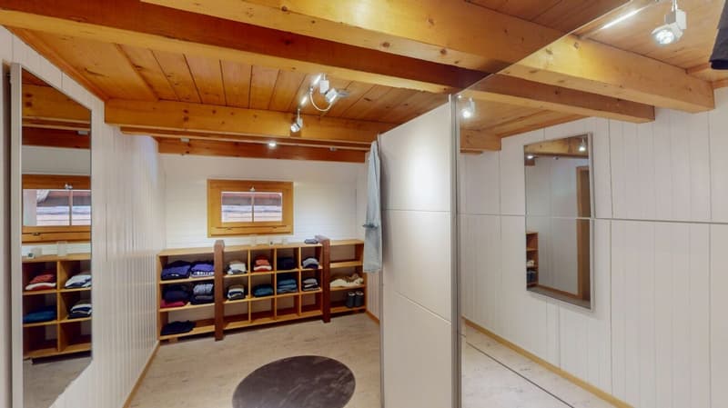 Idyllic farmhouse in a quiet location with two apartments and a tiny house (9)