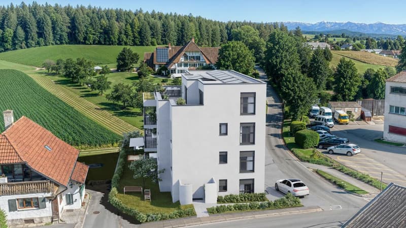 3½ Zimmer Wohnung mit Terrasse: Neubau mit Blick ins Grüne (9)