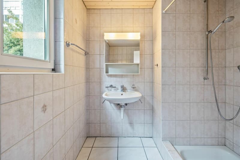 Double-family house in a central location in Liestal. (4)