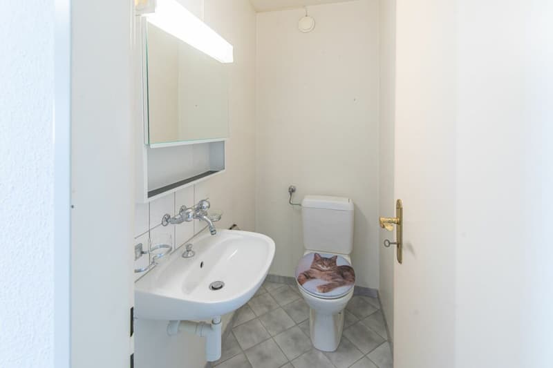 Your home in the family-friendly Wilacker quarter in Therwil BL. (11)