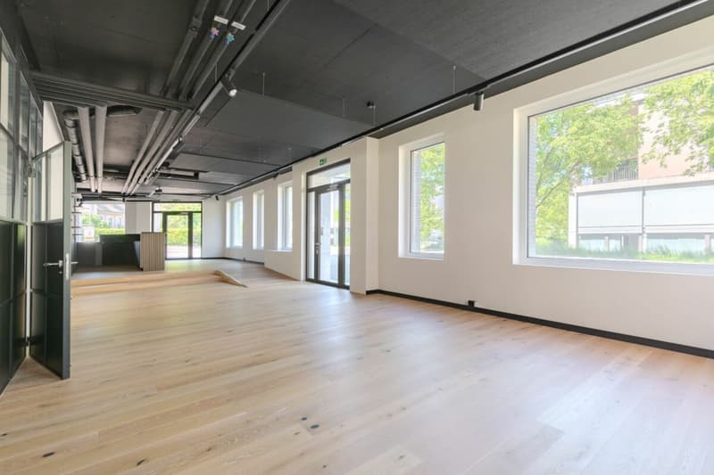 Haus 19