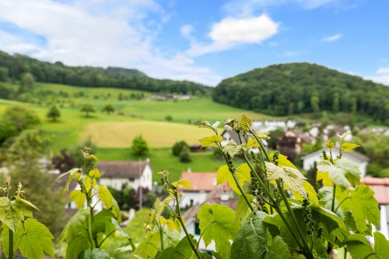 Esclusiva posizione a sud: Casa unifamiliare indipendente con panorama e privacy (20)