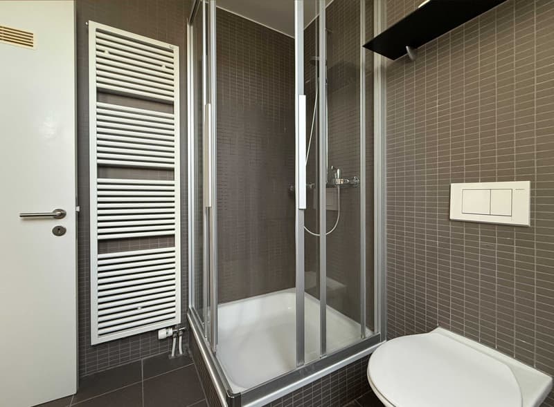 Exceptional 4.5-room maisonette apartment for rent in a central location in Rheinfelden (11)