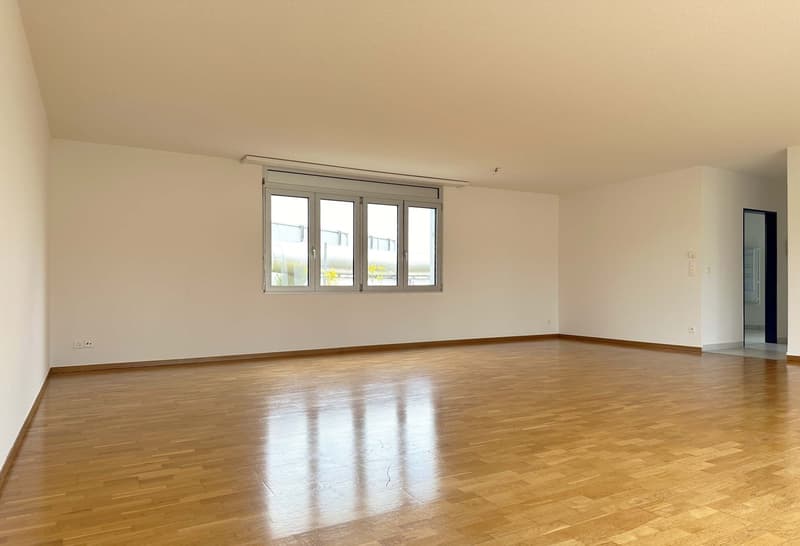 Einzigartige 5.5-Zimmer-Wohnung auf dem Dach des Birchi Centers (5)