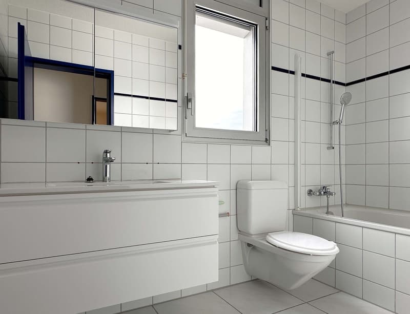Einzigartige 5.5-Zimmer-Wohnung auf dem Dach des Birchi Centers (10)
