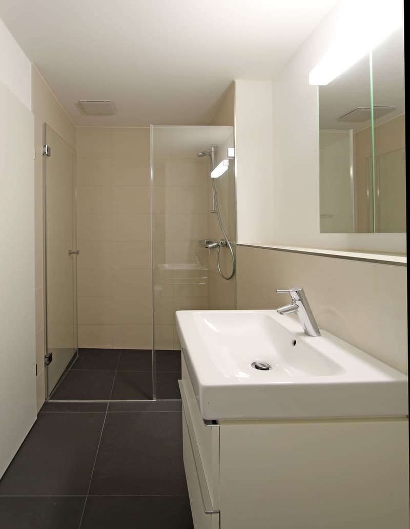 TOP 3.5-ROOM GROUND FLOOR APARTMENT IN A QUIET AND CENTRAL LOCATION IN FRICK (8)