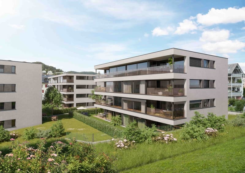 Allmend Gelterkinden, parking spaces for rent (1)