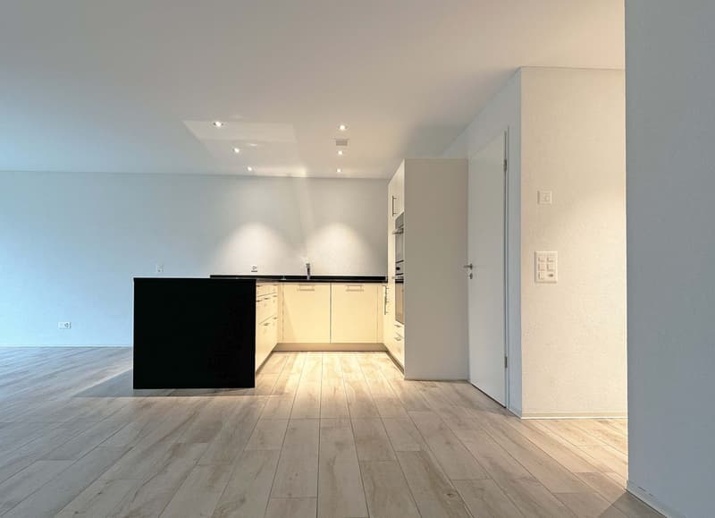 Tiersteinblick, EXKLUSIVE 3.5-ZIMMER-WOHNUNG IN GIPF-OBERFRICK - Hier werden Wohnträume wahr! (4)