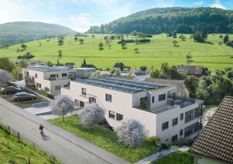 PANORAMA ZEININGEN - Wohnen im Grünen mit Aussicht (2)