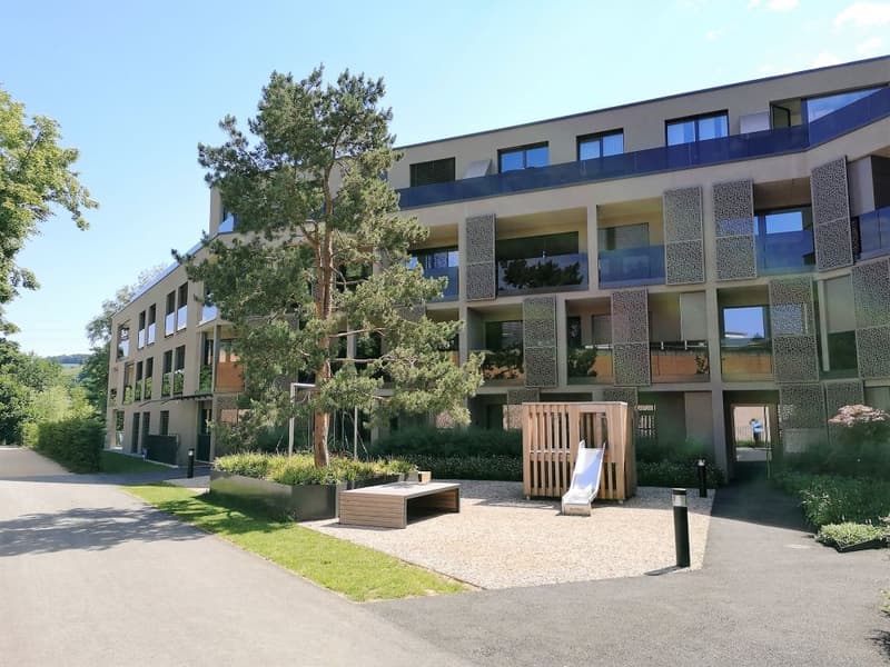 WOHNTRAUM IM DORFZENTRUM IN FRICK! (3)