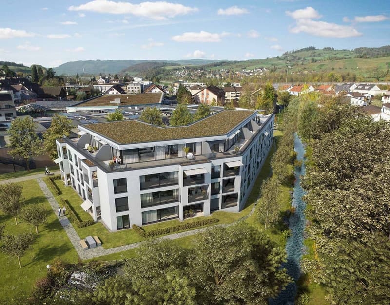 WOHNTRAUM IM DORFZENTRUM IN FRICK! (2)