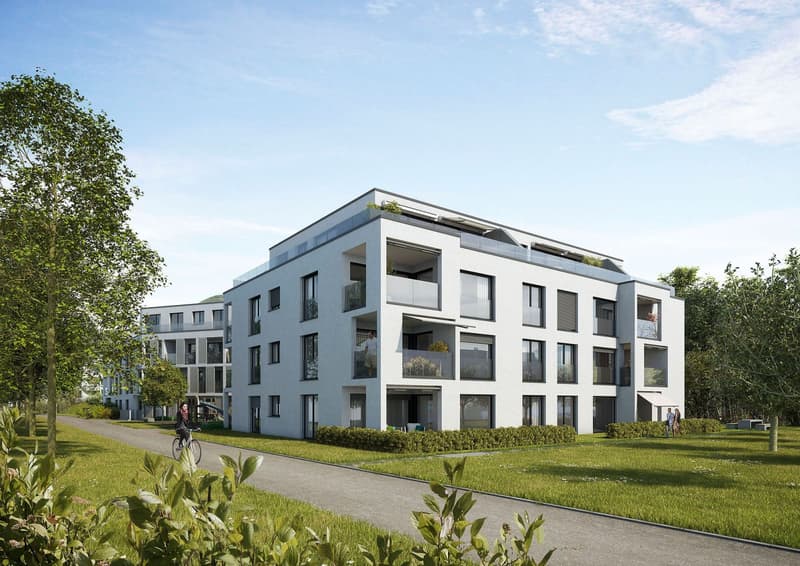 WOHNTRAUM IM DORFZENTRUM IN FRICK! (1)